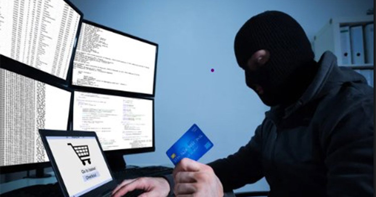 Fullz confinfentials tested and approved