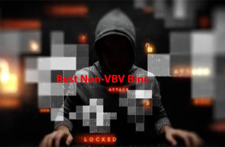 Best Non-VBV Bins. No Guides. No Gossip. Just Data.