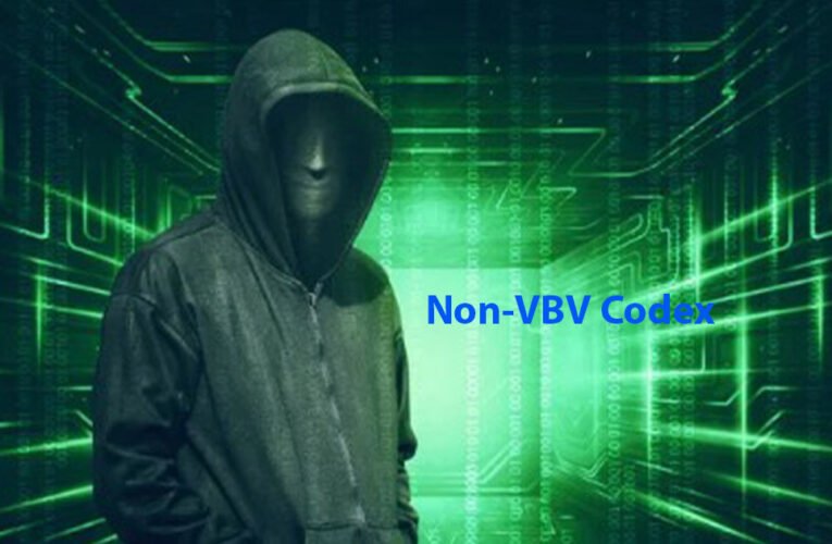 The Non-VBV Codex:Inside the Unsecured Gateway” (And Why It Exists)